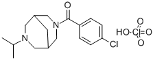 SAZ VII 23 Structure