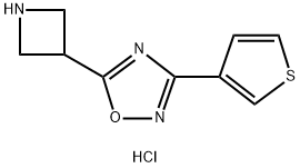 5-AZETIDIN-3-YL-3-(3-THIENYL)-1,2,4-OXADIAZOLE HYDROCHLORIDE, 1426290-23-4, 结构式