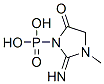 3-phosphono-2-imino-1-methyl-4-oxoimidazolidine Struktur