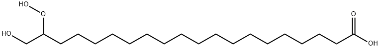 19-hydroperoxy-20-hydroxyarachidic acid Structure