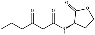 N-(BETA-KETOCAPROYL)-DL-HOMOSERINE LACTONE