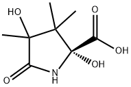 2,4-dihydroxy-3,3,4-trimethylpyroglutamic acid Structure