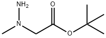 N-氨基-N-甲基甘氨酸叔丁酯, 144036-71-5, 结构式