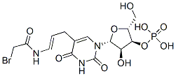 5-(3-(bromoacetamido)allyl)uridine-3'-monophosphate,144978-95-0,结构式