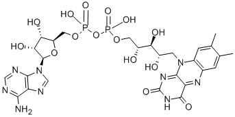 フラビンアデニンジヌクレオチド 化学構造式