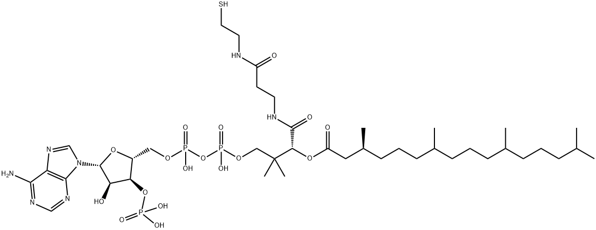 フィタノイル-CoA 化学構造式
