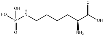 N-epsilon phospholysine 化学構造式