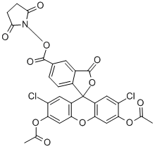 5(6)-CARBOXY-2',7'-DICHLOROFLUORESCEIN DIACETATE N-SUCCINIMIDYL ESTER