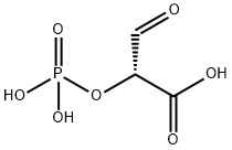D-tartronic semialdehyde phosphate 化学構造式