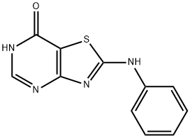 2-anilino[1,3]thiazolo[4,5-d]pyrimidin-7(6H)-one 化学構造式