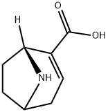 8-Azabicyclo[3.2.1]oct-2-ene-2-carboxylicacid,(1R)-(9CI) 化学構造式