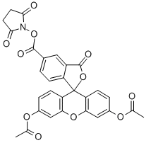 150347-59-4 5-OR 6-(N-スクシンイミジルオキシカルボニル)-3',6'-O,O'-ジアセチルフルオレセイン