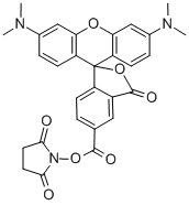 5(6)-Carboxytetramethylrhodamine succinimidyl ester 