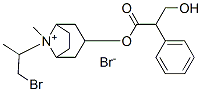 l-Ipratropium bromide 化学構造式