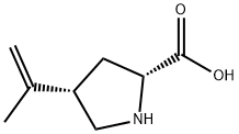 D-Proline, 4-(1-methylethenyl)-, cis- (9CI)|