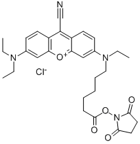 NIR-667 N-SUCCINIMIDYL ESTER Structure