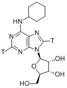 N 6-CYCLOHEXYLADENOSINE-[2,8-3H] Struktur