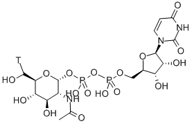 URIDINE 5'-DIPHOSPHO-N-ACETYLGLUCOSAMINE-[GLUCOSAMINE-6-3H(N)] Structure