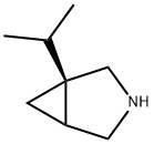 3-氮杂双环[3.1.0]己烷,1-(1-甲基乙基)-,(1R)-(9CI) 结构式