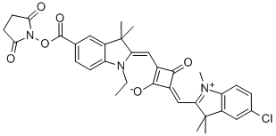 SQ-NHS* Structure