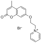 155272-58-5 Pyridinium, 1-(2-((4-methyl-2-oxo-2H-1-benzopyran-7-yl)oxy)ethyl)-, br omide