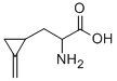 hypoglycin, 156-56-9, 结构式