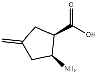 Cyclopentanecarboxylic acid, 2-amino-4-methylene-, cis- (9CI) Structure