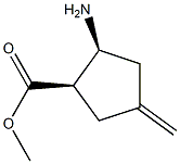 Cyclopentanecarboxylic acid, 2-amino-4-methylene-, methyl ester, cis-(-)- (9CI) 化学構造式