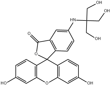 156862-28-1 5-tris(hydroxymethyl)methylamino-2-(3,6-dihydroxy-9H-xanthen-10-yl)benzoate