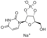 URIDINE-2',3'-CYCLIC MONOPHOSPHATE SODIUM SALT|尿嘧啶核苷-2',3'-环磷酸钠盐