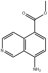 5-Isoquinolinecarboxylicacid,8-amino-,methylester(9CI) Structure