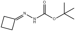 Hydrazinecarboxylic acid, cyclobutylidene-, 1,1-dimethylethyl ester (9CI)