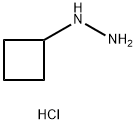 1-CYCLOBUTYLHYDRAZINE HYDROCHLORIDE 化学構造式