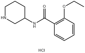 2-Ethoxy-N-piperidin-3-ylbenzamide hydrochloride Structure