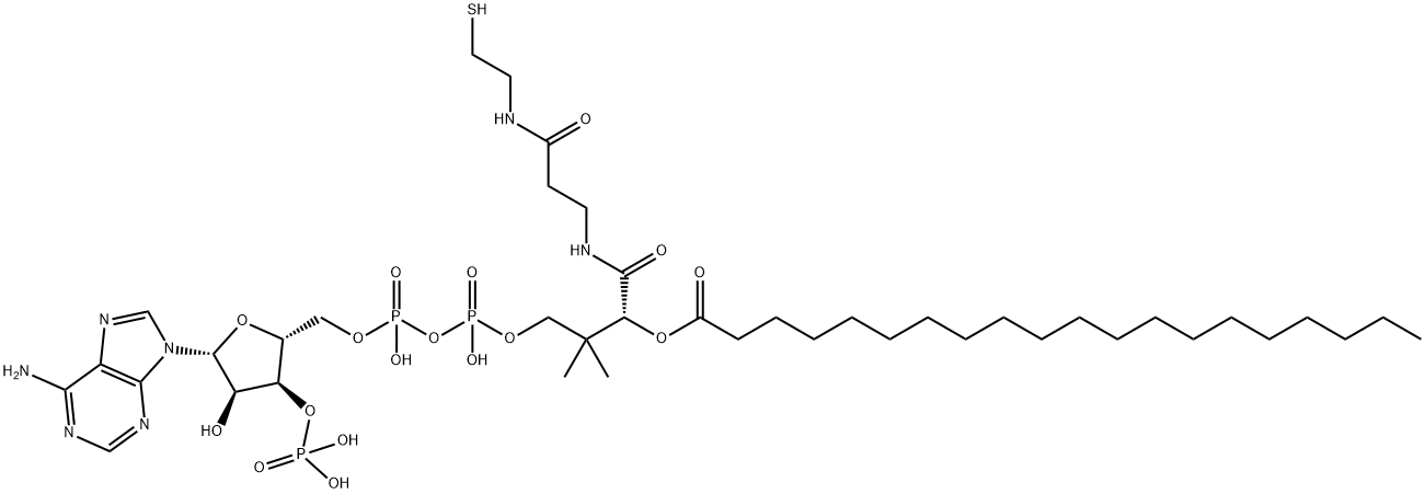 (C20:0) COENZYME A,15895-27-9,结构式