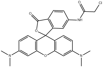 6-Chloroacetamidotetramethylrhodamine|