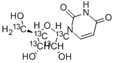 [1',2',3',4',5''-13C5]URIDINE