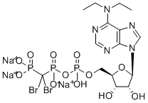6-N,N-二乙基-Β-Γ-二溴亚甲基-D-腺苷E-5'-三磷酸钠水合物 结构式