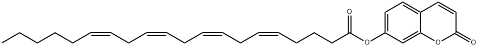 UMBELLIFERYL ARACHIDONATE 化学構造式