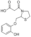 3-Thiazolidinepropanoic acid, 2-((2-hydroxyphenoxy)methyl)-beta-oxo- Structure