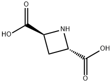 (+/-)-TRANS-AZETIDINE-2,4-DICARBOXYLIC ACID|反式吖丁啶-2,4-二羧酸