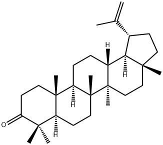 羽扇烯酮,1617-70-5,结构式