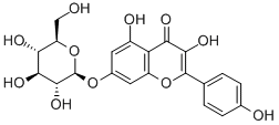 KAEMPFEROL-7-O-GLUCOSIDE price.