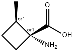 Cyclobutanecarboxylic acid, 1-amino-2-methyl-, trans- (9CI) 化学構造式