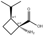 Cyclobutanecarboxylic acid, 1-amino-2-(1-methylethyl)-, trans- (9CI) 化学構造式