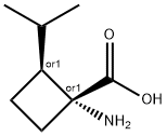 Cyclobutanecarboxylic acid, 1-amino-2-(1-methylethyl)-, trans- (9CI) 结构式