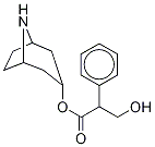 ノルアトロピン 化学構造式