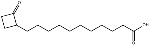 2-Oxo-cyclobutane Undecanoic Acid Struktur