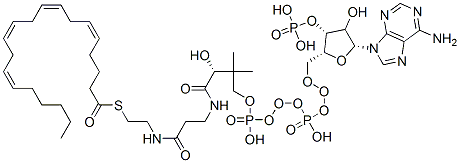 S-[2-[3-[[(2R)-4-[[[(2R,3R,5R)-5-(6-aminopurin-9-yl)-4-hydroxy-3-phosphonooxyoxolan-2-yl]methoxy-hydroxyphosphoryl]oxy-hydroxyphosphoryl]oxy-2-hydroxy-3,3-dimethylbutanoyl]amino]propanoylamino]ethyl] (5Z,8Z,11Z,14Z)-icosa-5,8,11,14-tetraenethioate,17046-56-9,结构式