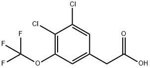 3,4-Dichloro-5-(trifluoromethoxy)phenylaceticacid 结构式